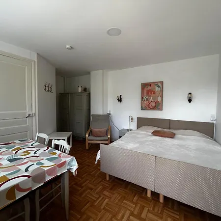 Entre Thermes Et Centre-ville Avec Jardin, Parking Et Wifi - Fr-1-541-119 Appartement La Roche-Posay