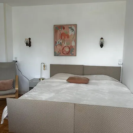 Entre Thermes Et Centre-ville Avec Jardin, Parking Et Wifi - Fr-1-541-119